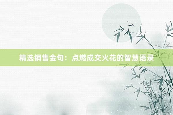 精选销售金句：点燃成交火花的智慧语录